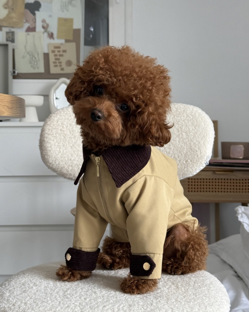 Куртка з декоративними вставками «Brooklyn Jacket»