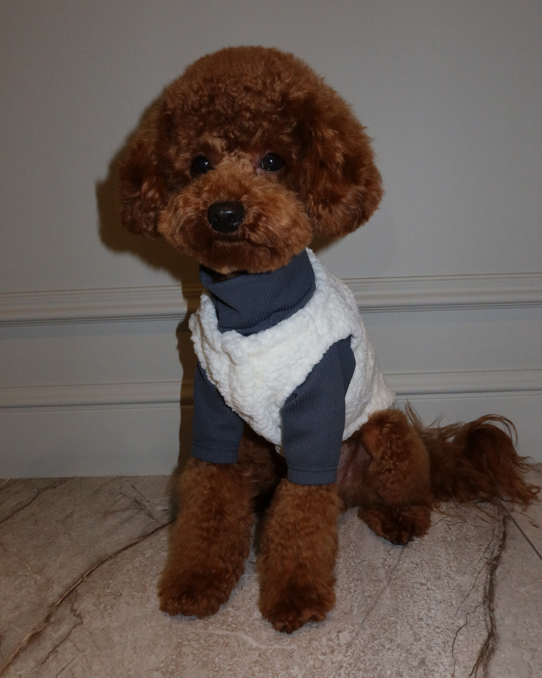 Жилет молочний “Teddy”