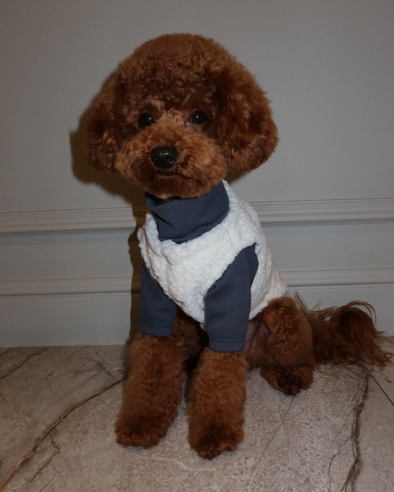 Жилет молочний “Teddy”