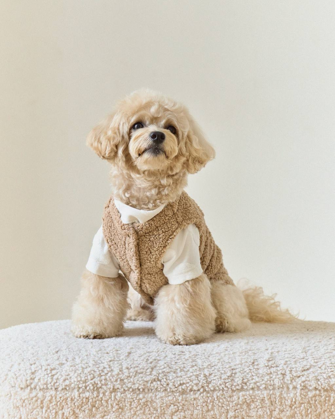 Жилет капучино “Teddy”