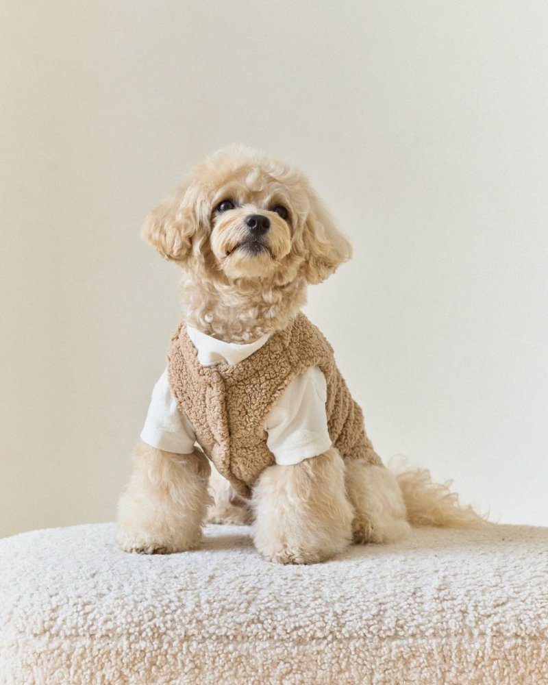 Жилет капучино “Teddy”
