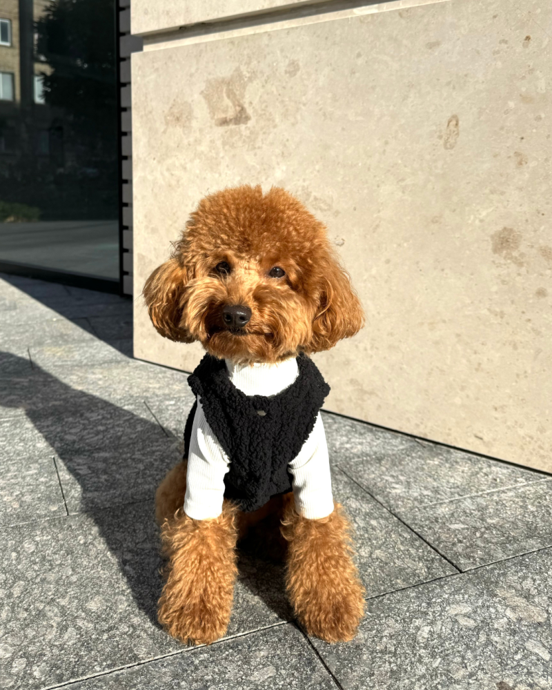 Жилет чорний “Teddy”