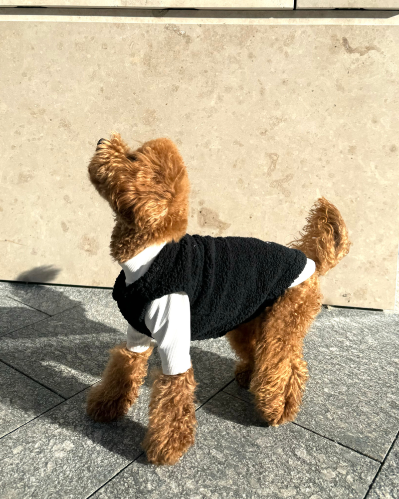 Жилет чорний “Teddy”
