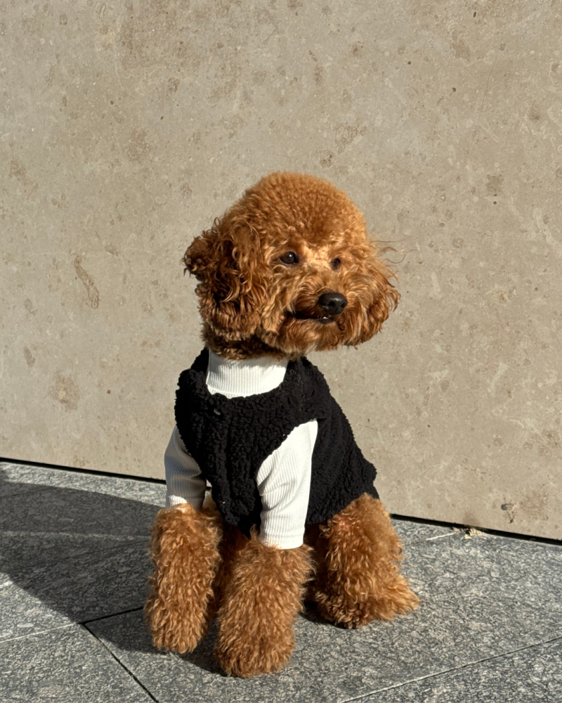 Жилет чорний “Teddy”