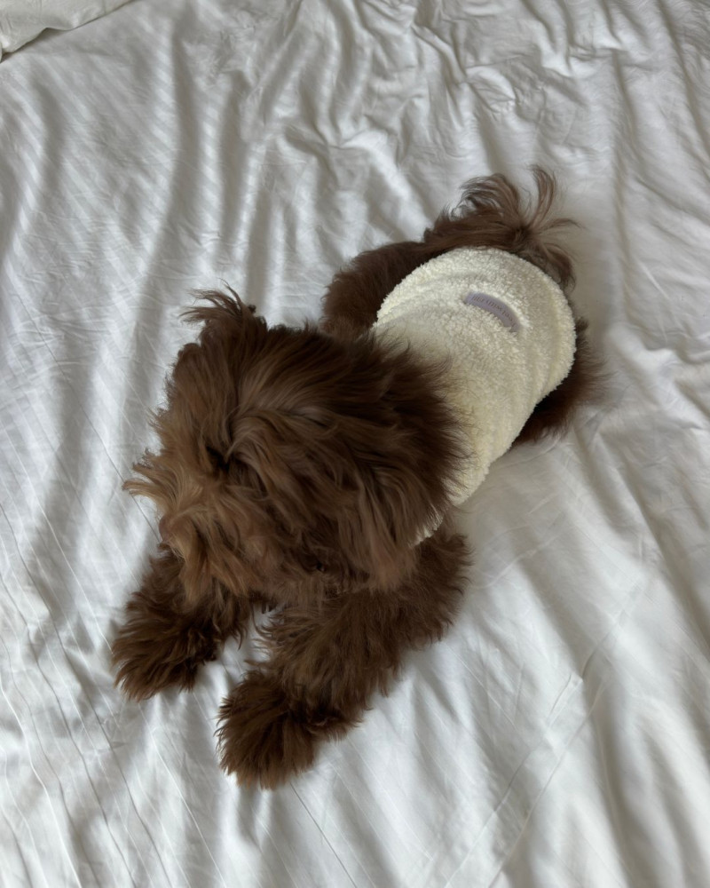 Жилет молочний “Teddy”