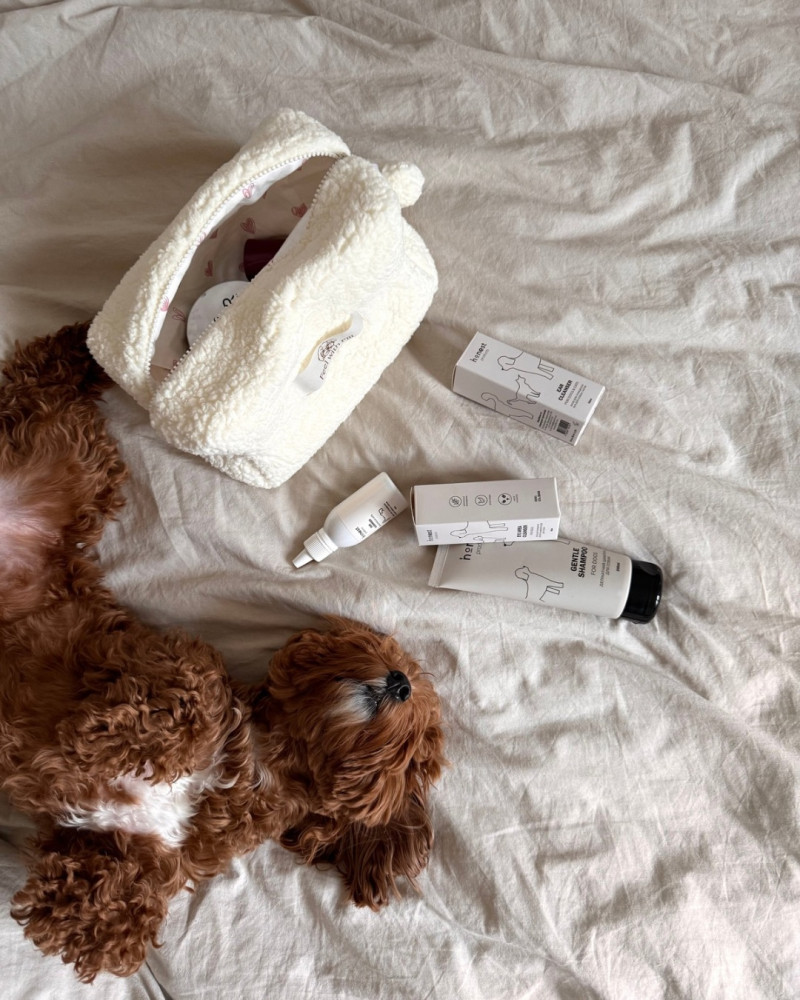 Косметичка молочна “Teddy”