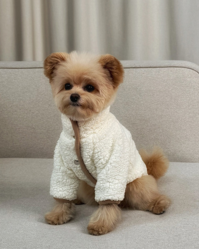 Бомбер молочний “Teddy”