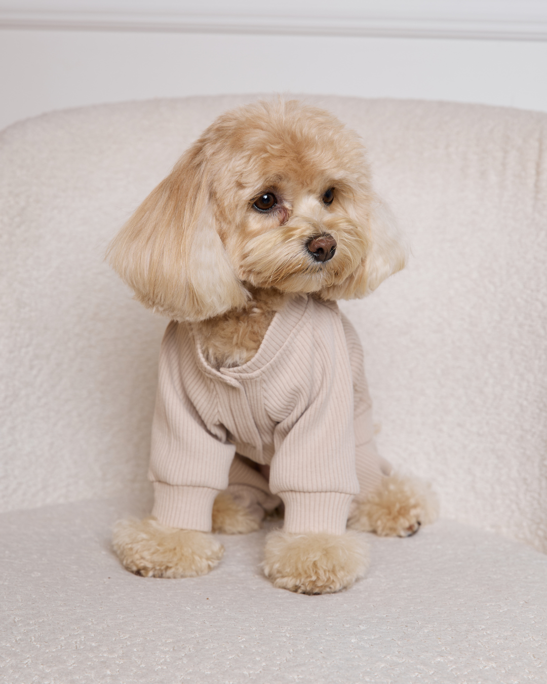 Комбінезон-трансформер у рубчик “Four-Paws Bodysuit” таш