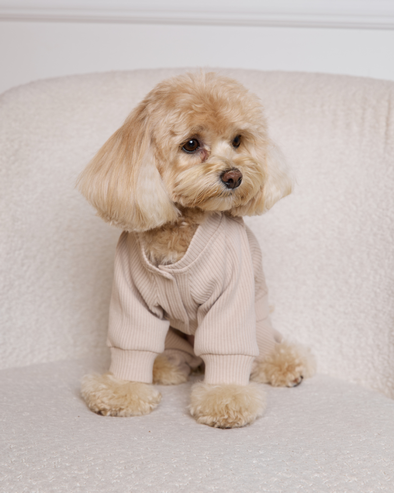 Комбінезон-трансформер у рубчик “Four-Paws Bodysuit” таш