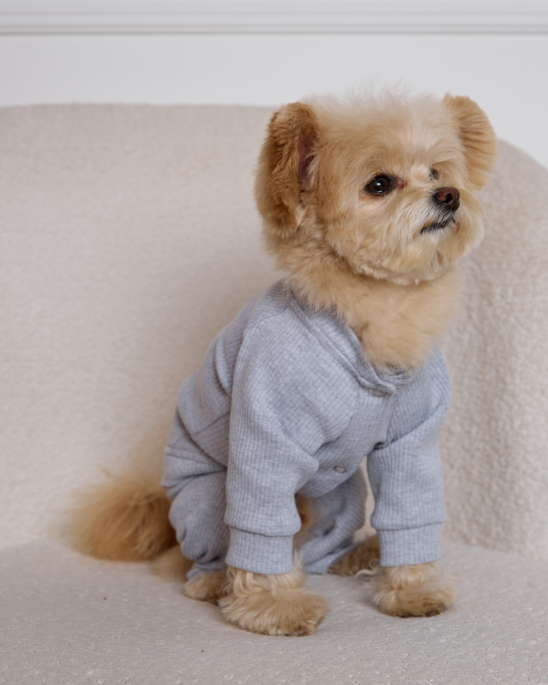 Комбінезон-трансформер у рубчик “Four-Paws Bodysuit” сірий