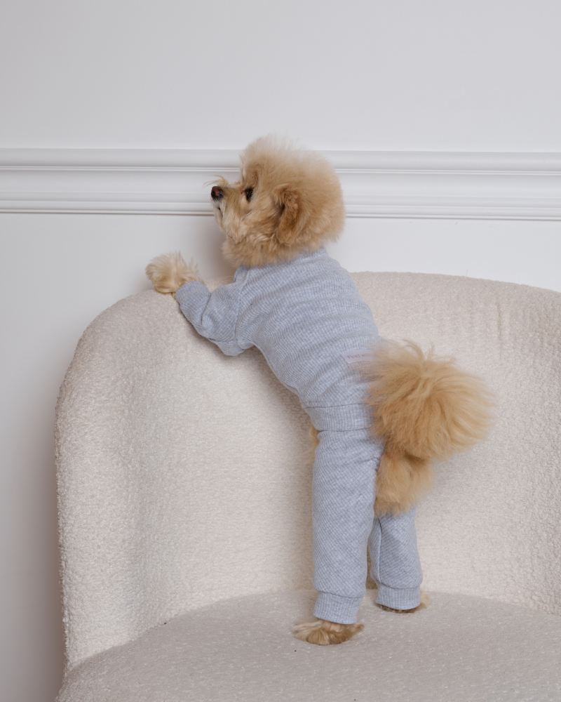 Комбінезон-трансформер у рубчик “Four-Paws Bodysuit” сірий