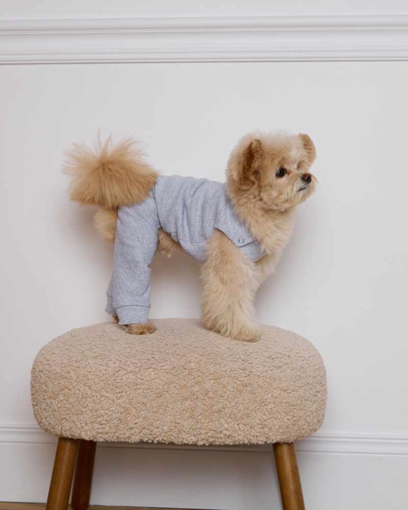 Комбінезон-трансформер у рубчик “Four-Paws Bodysuit” сірий