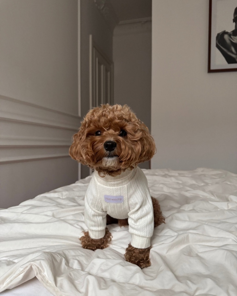 Гольф молочний з візерунком “Charmie”