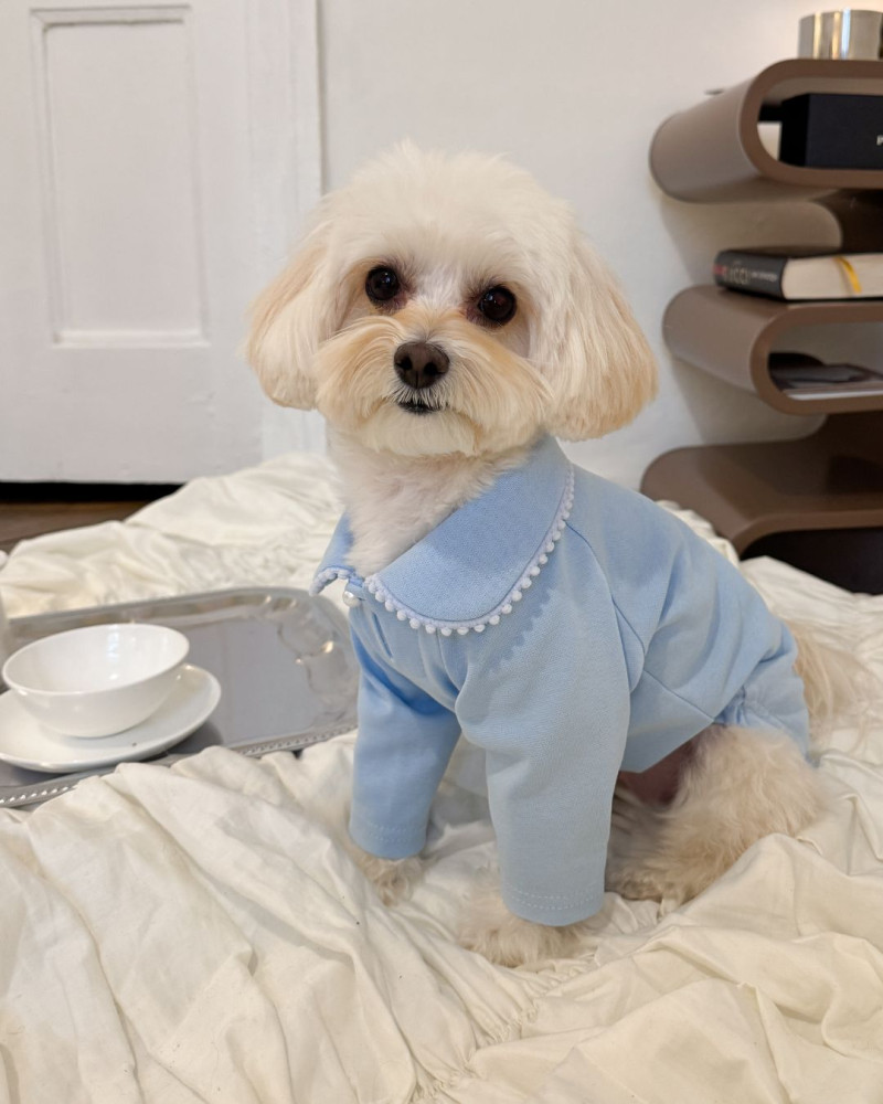 Кофтинка блакитна з помпонами