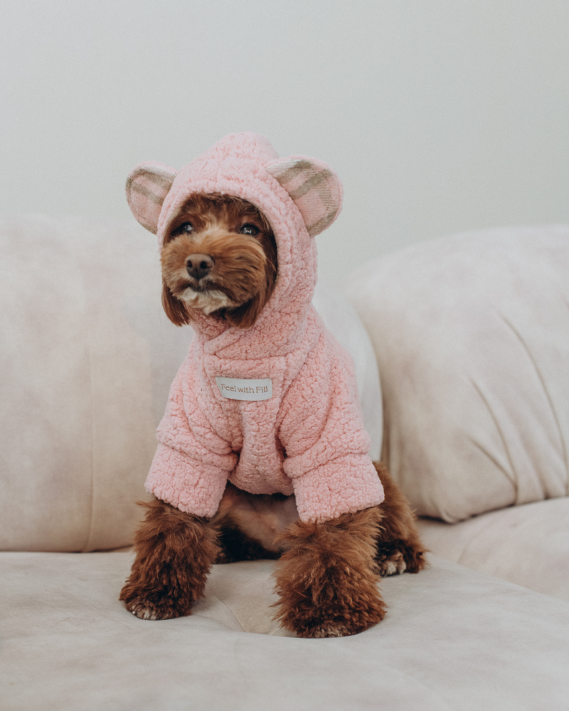 Худі рожевий “Teddy”