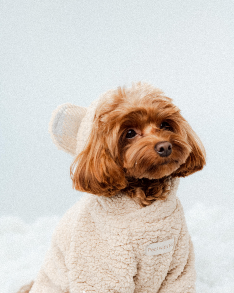 Худі бежевий “Teddy”