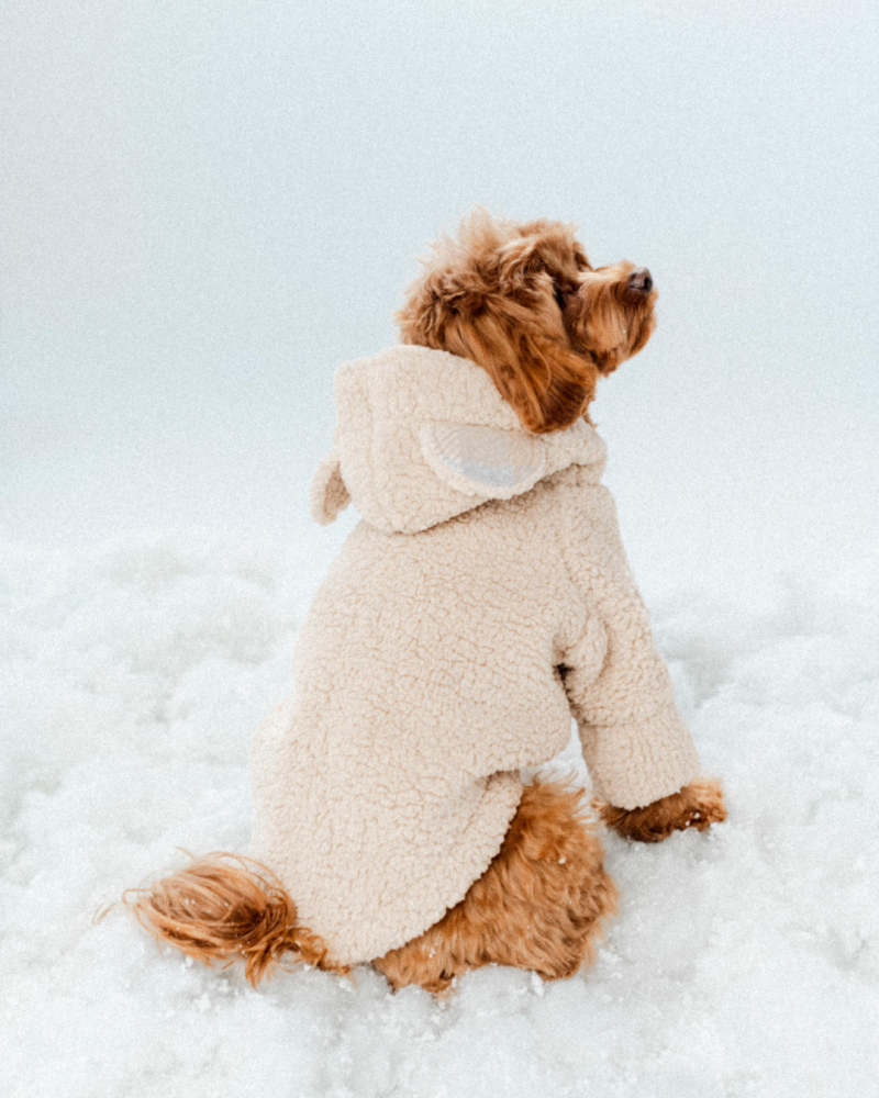 Худі бежевий “Teddy”