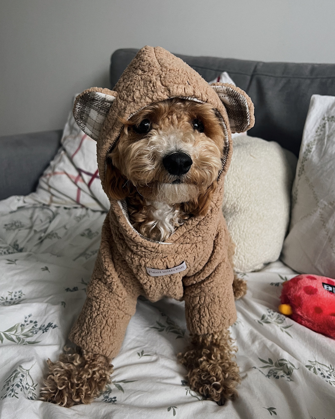 Худі капучино “Teddy”