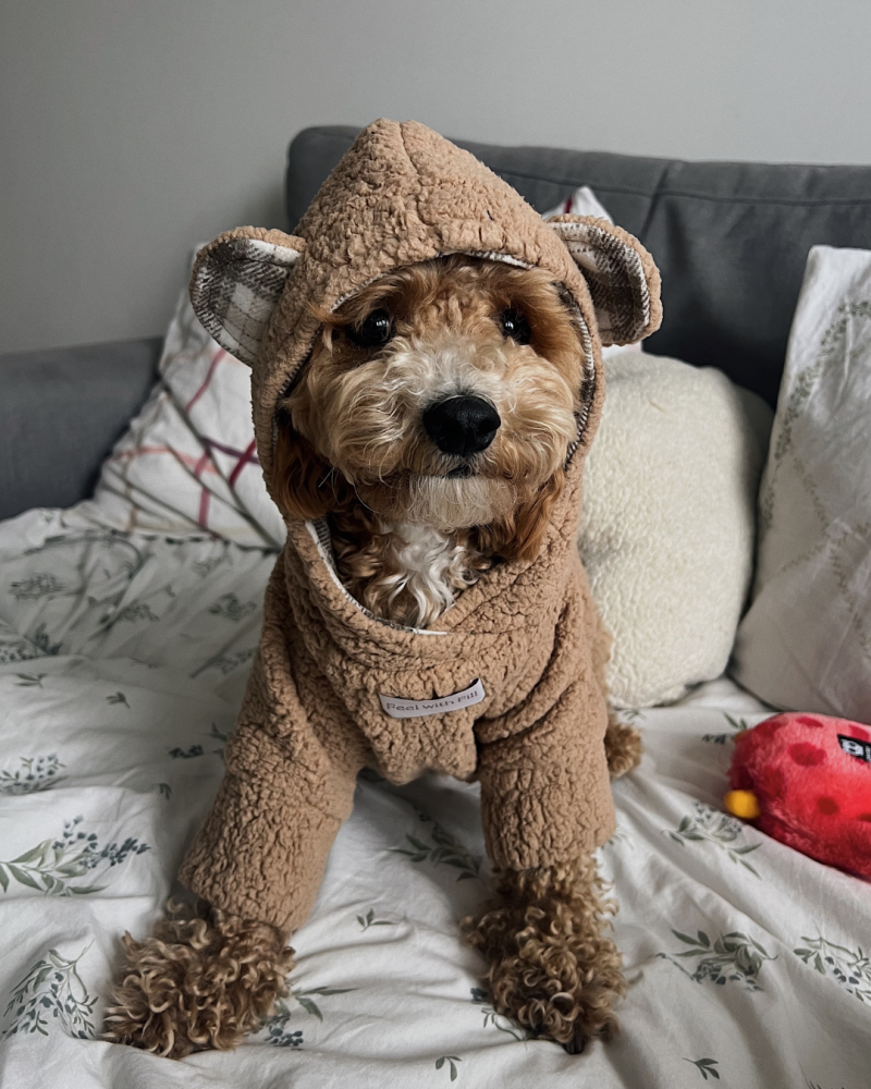Худі капучино “Teddy”