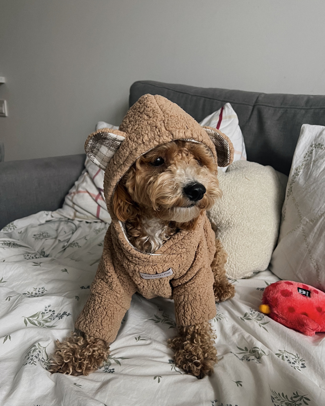 Худі капучино “Teddy”