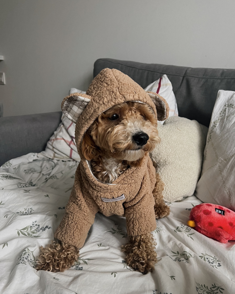 Худі капучино “Teddy”