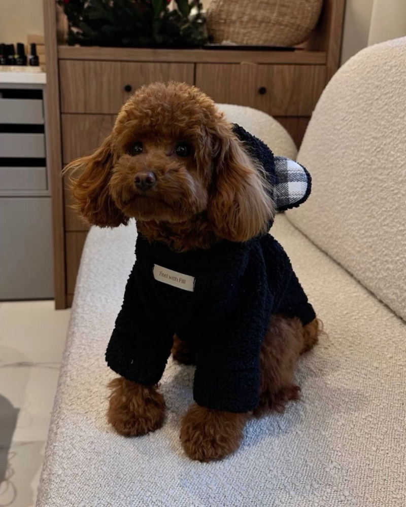 Худі чорний “Teddy”
