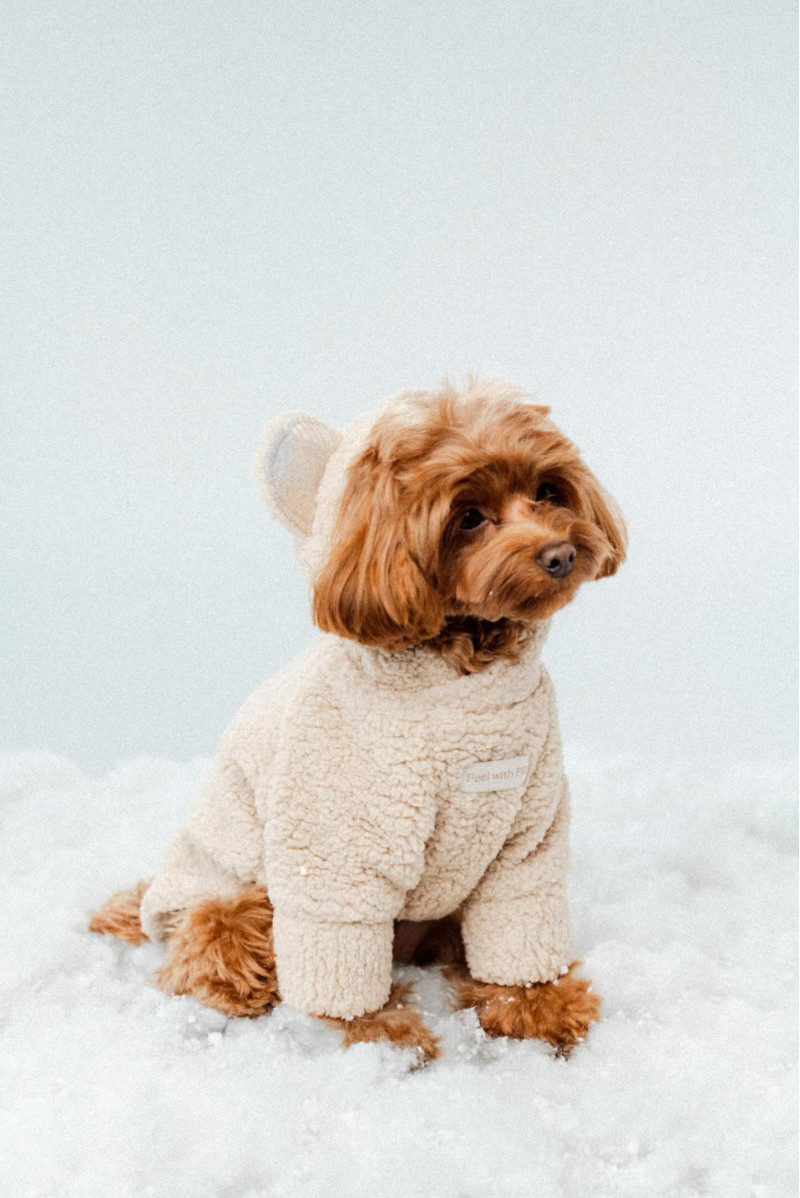 Худі бежевий “Teddy”