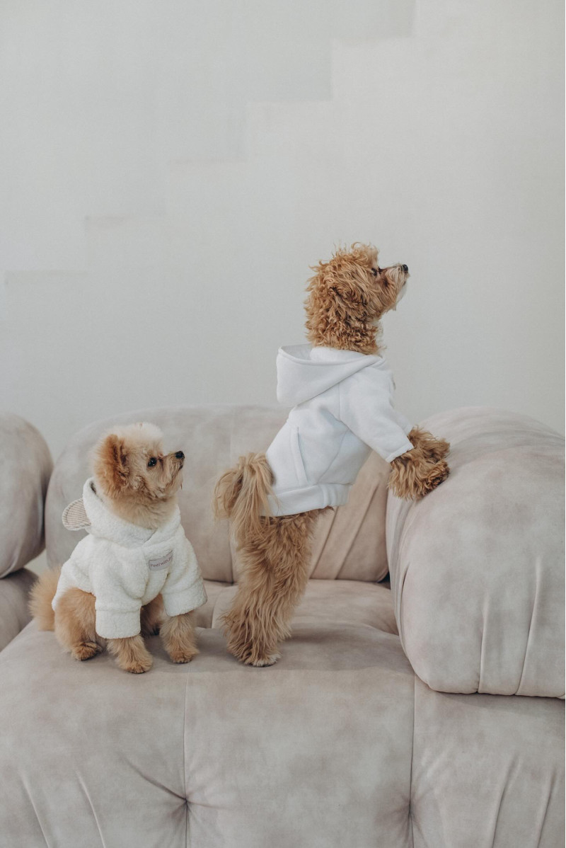 Худі молочний “Teddy”